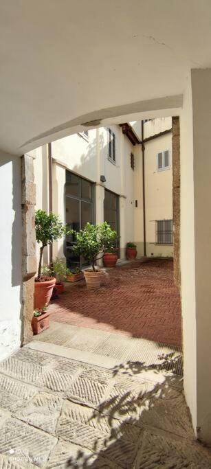 Apartamento Ghibellina *
